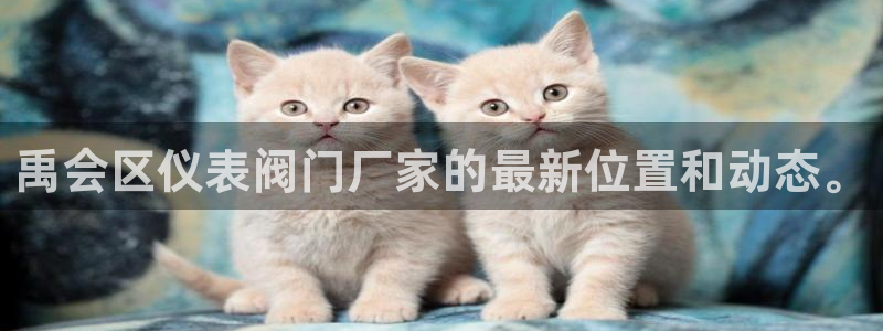 新宝给gg