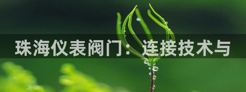 新宝gg平台下载安装