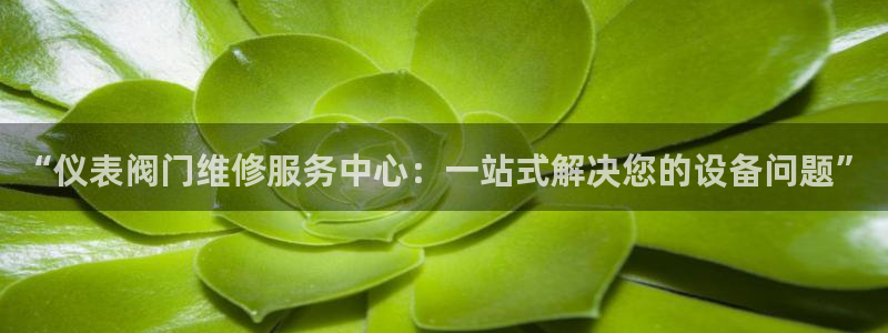 新宝gg专线
