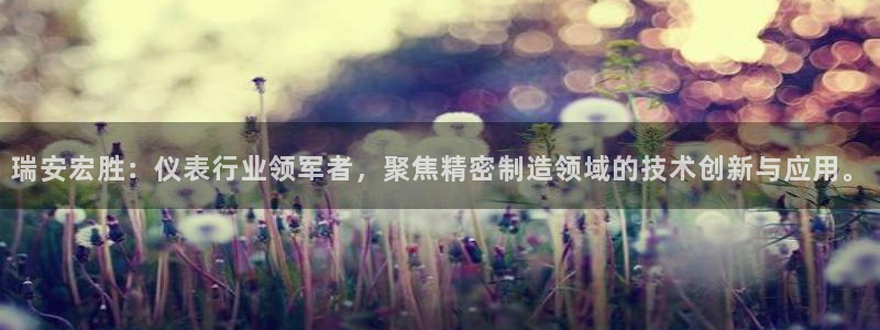 旧版新宝GG