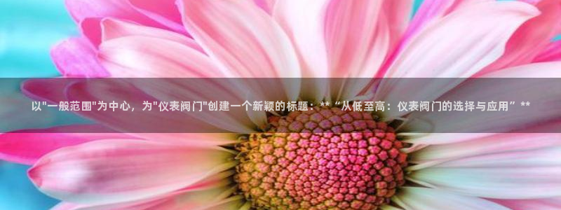 新宝gg打发