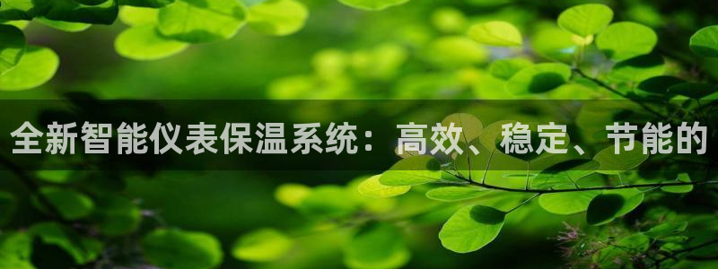 www.新宝gg