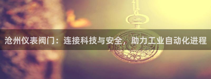 新宝gg属于