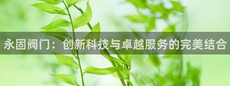 新宝gg1956登陆