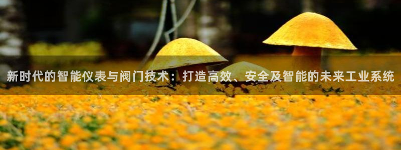 广东新宝电器gg