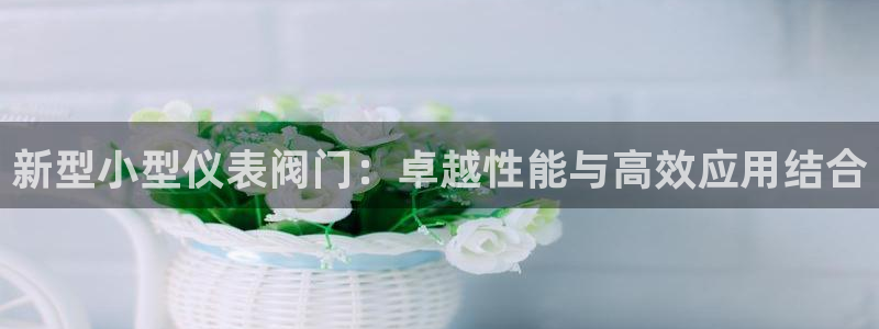 新宝gg娱乐主管q42873