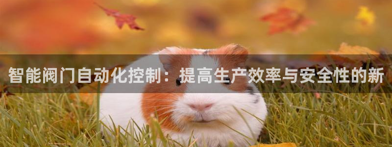 新宝gg平