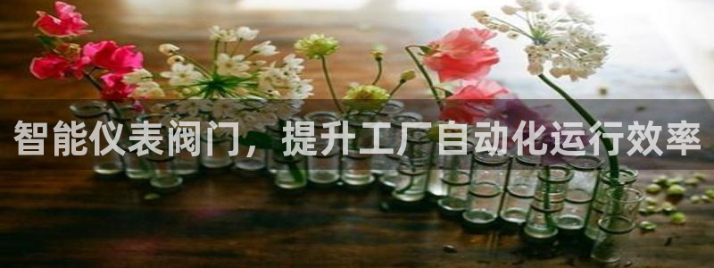 新宝gg创造奇迹