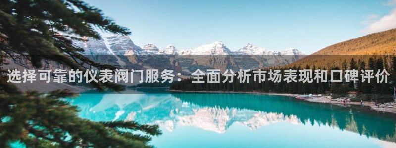 创造奇迹新宝gg
