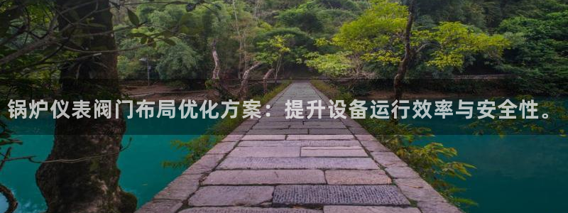 新宝gg辅助