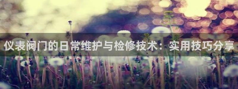 正版新宝gg
