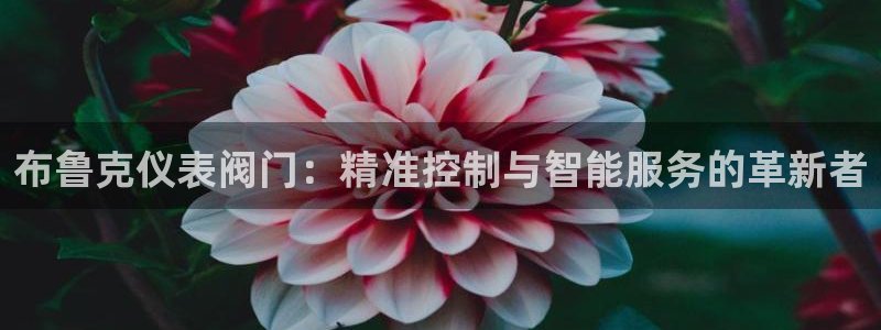 新宝gg老板64491