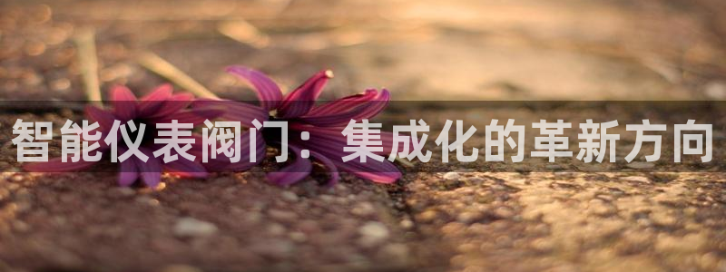 新宝gg网点