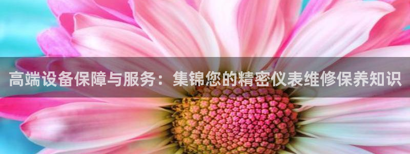 新宝GG链接