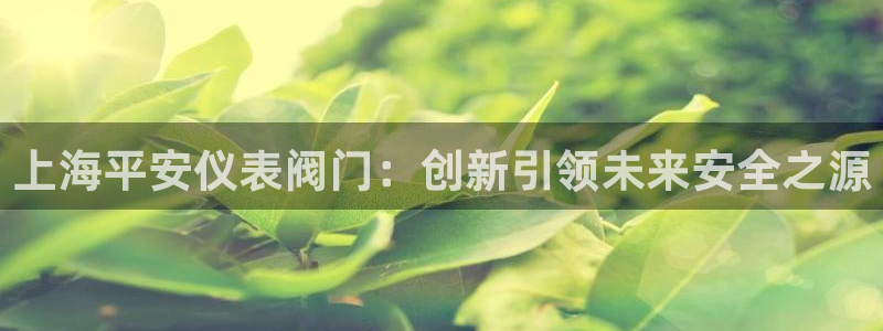 创造奇迹 新宝gg