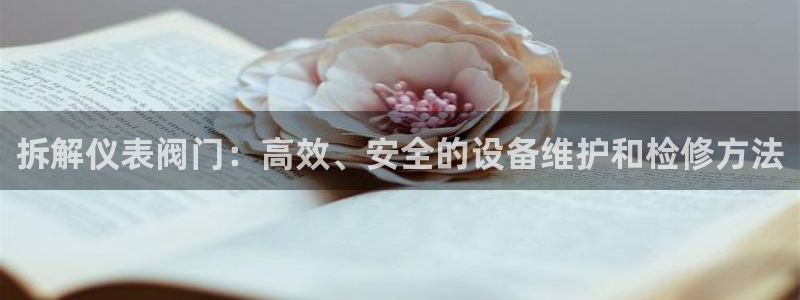 认准新宝gg