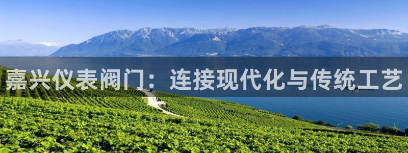 新宝gg有规律么