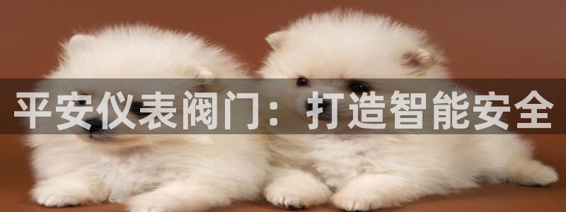 新宝gg怎么样