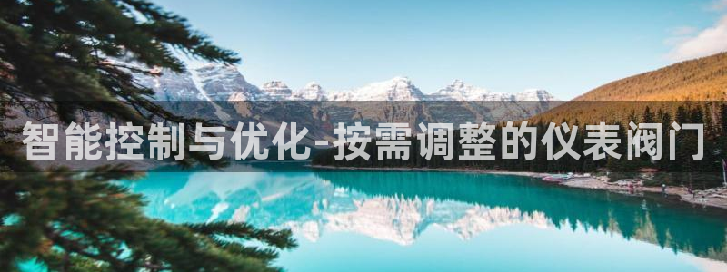 新宝GG—创造奇迹