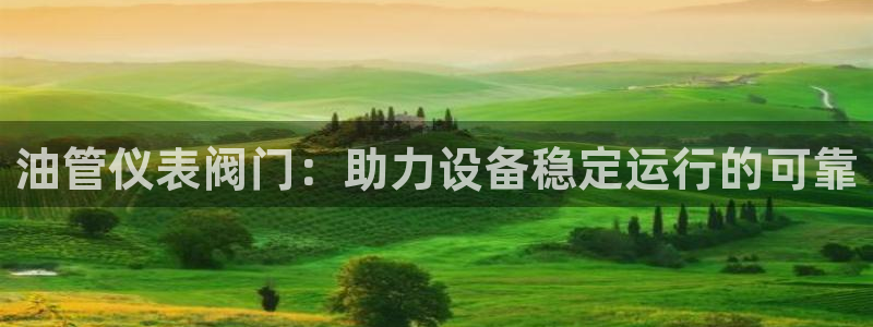 新宝gg总管