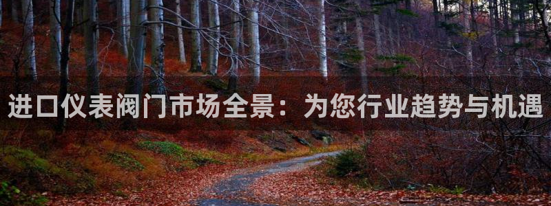 新宝gg游戏