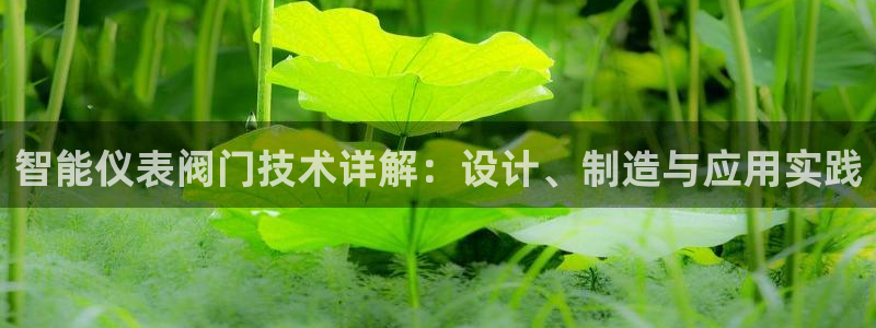 新宝gg评论