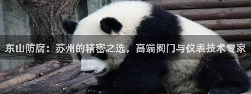 网站是新宝gg