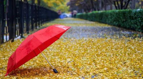 从远处来,探寻异域风情的奥秘