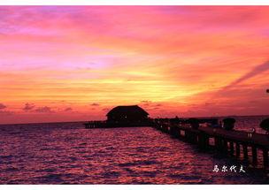 疼痛的风景,疼痛风景下的心灵疗愈之旅