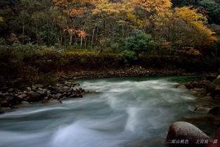 疼痛的风景,疼痛风景下的心灵疗愈之旅