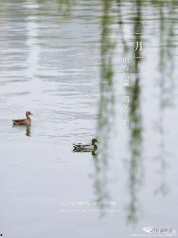春风替我遇见你,邂逅你的浪漫际遇