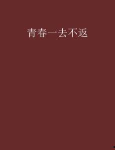 一去不返,探寻时光的永恒印记
